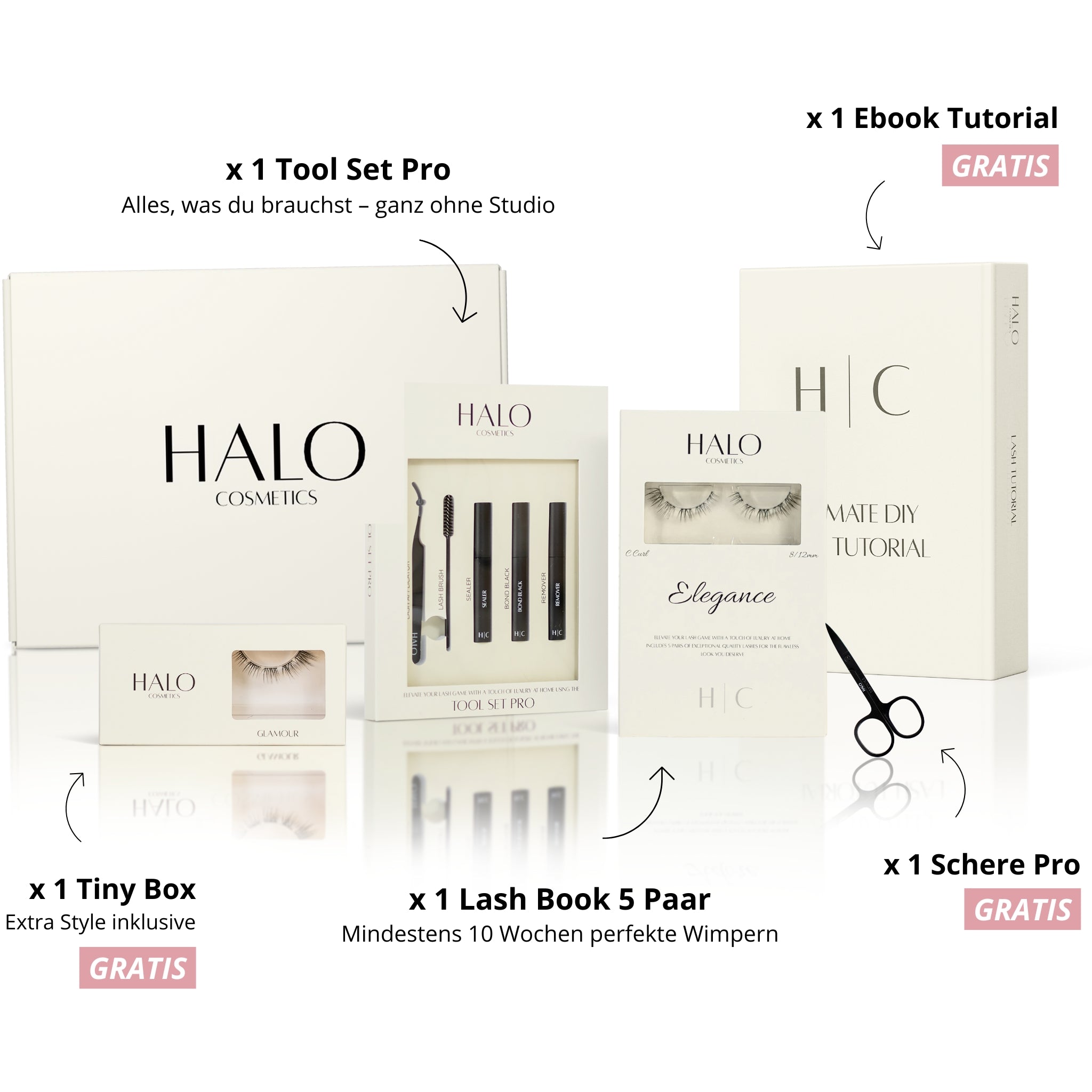 HALO Starter Kit
